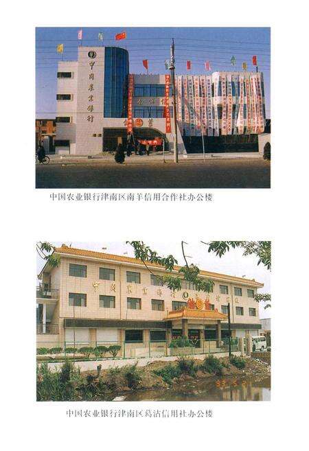 《津南区农业银行志》.pdf电子版_天津市志预览图4