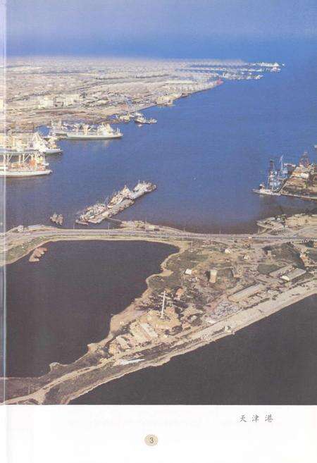 《天津口岸统计志》.pdf电子版_天津市志预览图4