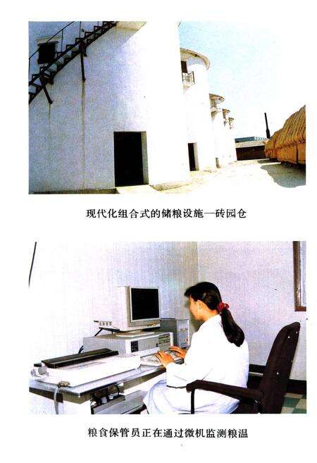 《津南区粮食局志》.pdf电子版_天津市志预览图2