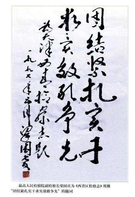 《西青区检察志》.pdf电子版_天津市志预览图1