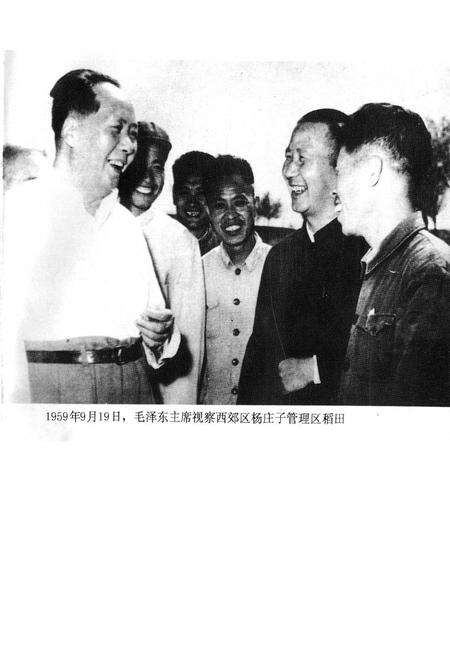 《西青区政府志》.pdf电子版_天津市志预览图1