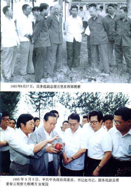 《西青区政府志》.pdf电子版_天津市志预览图3