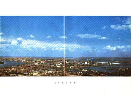 《天津化工厂志》.pdf电子版_天津市志预览图4