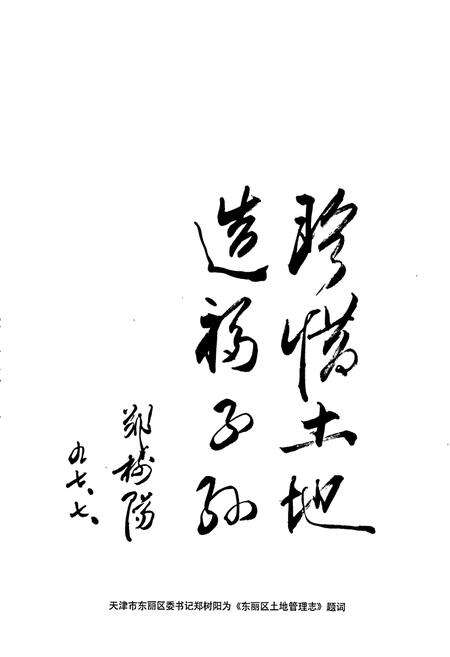 《东丽区土地管理志》.pdf电子版_天津市志预览图2