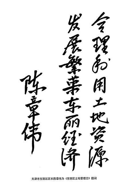 《东丽区土地管理志》.pdf电子版_天津市志预览图3