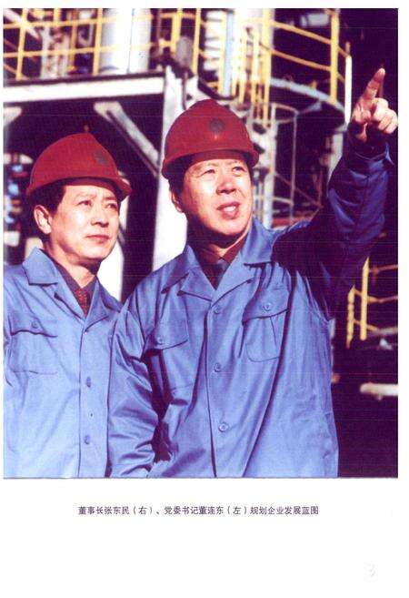 《天津渤天化工有限责任公司志2001-2005》.pdf电子版_天津市志预览图4