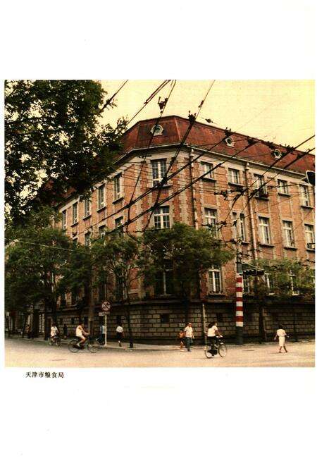 《天津粮食志》.pdf电子版_天津市志预览图4