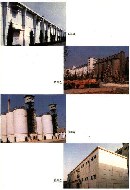 《天津粮食志》.pdf电子版_天津市志预览图5