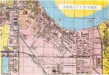 《《大沽化工厂志》(1939-1987)》.pdf电子版_天津市志预览图5