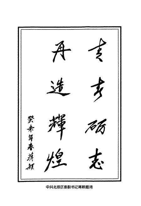 《北辰团志》.pdf电子版_天津市志预览图3
