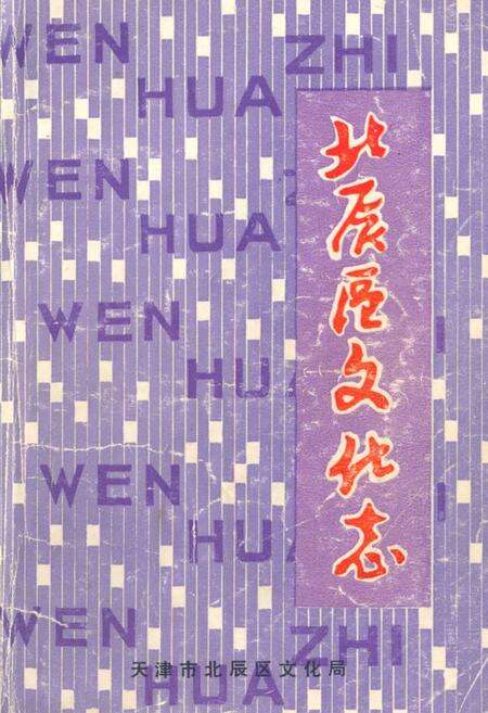 《《北辰区文化志》》.pdf电子版_天津市志缩略图