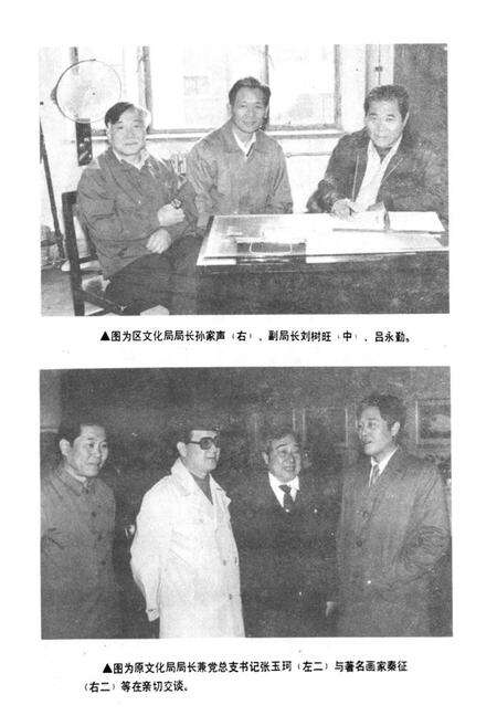 《《北辰区文化志》》.pdf电子版_天津市志预览图3