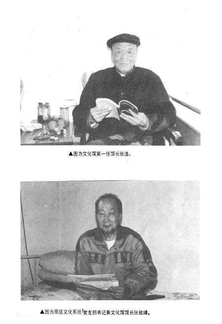 《《北辰区文化志》》.pdf电子版_天津市志预览图5