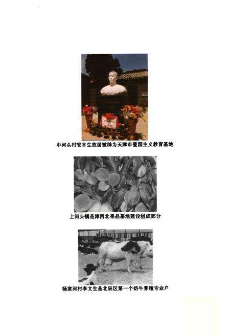 《上河头镇志》.pdf电子版_天津市志预览图4