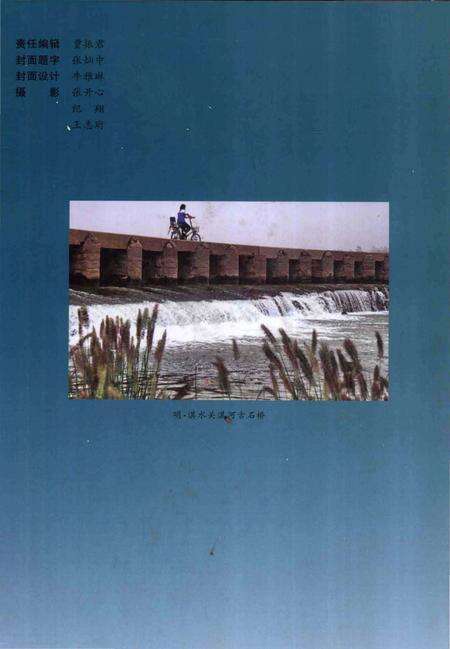 《高村村志》.pdf电子版_天津市志预览图1