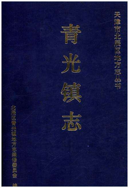 《青光镇志》.pdf电子版_天津市志缩略图