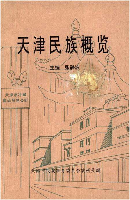 《天津民族概览》.pdf电子版_天津市志缩略图