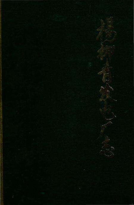 《杨柳青发电厂志》.pdf电子版_天津市志缩略图