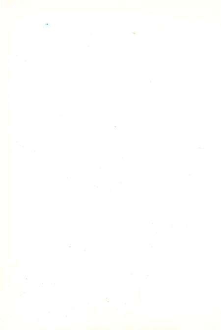 《杨柳青发电厂志》.pdf电子版_天津市志预览图3