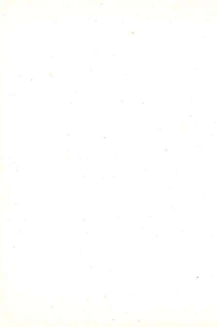 《杨柳青发电厂志》.pdf电子版_天津市志预览图5