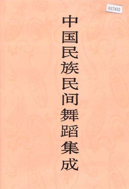 《中国民族民间舞蹈集成西藏卷》.pdf电子版_西藏自治区志缩略图