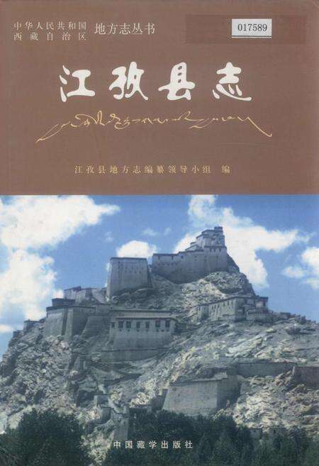 《江孜县志》.pdf电子版_西藏自治区志缩略图
