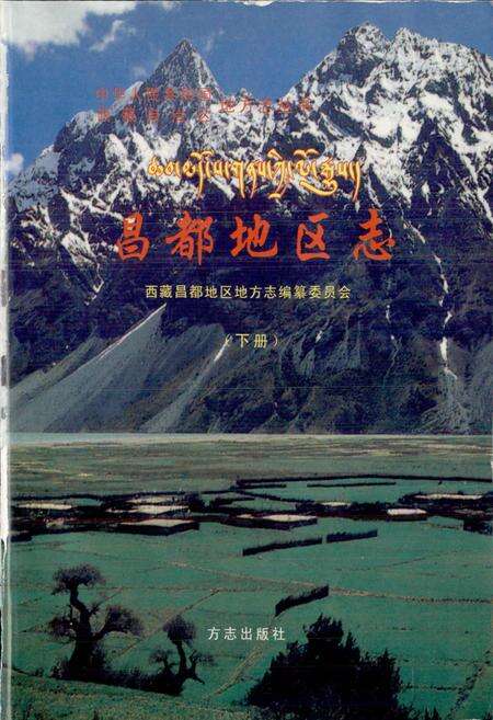 《昌都地区志 下册》.pdf电子版_西藏自治区志预览图1