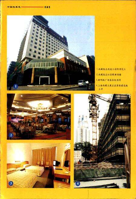 《中国改革志 西藏卷》.pdf电子版_西藏自治区志预览图3