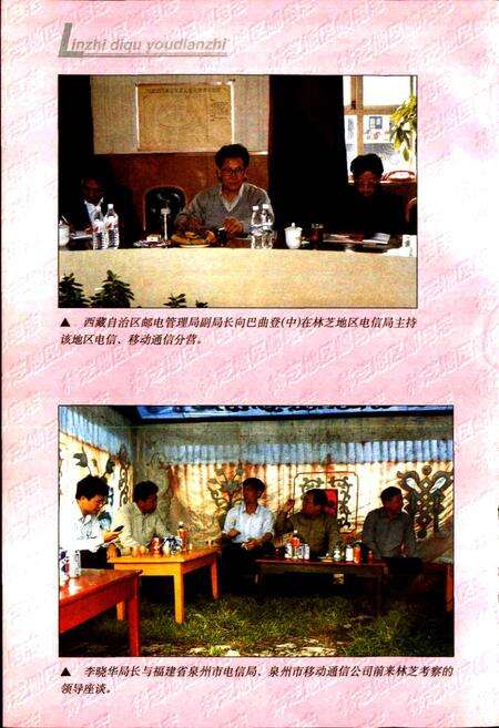 《林芝地区邮电志》.pdf电子版_西藏自治区志预览图4