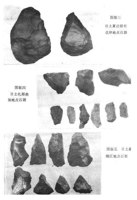 《《阿里地区文物志》》.pdf电子版_西藏自治区志预览图3