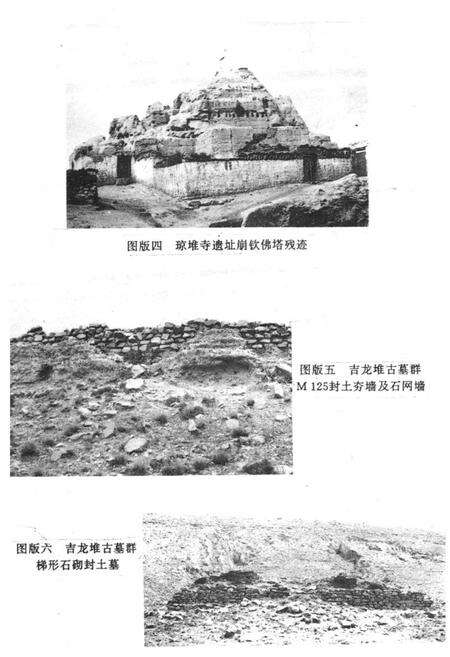 《《萨迦谢通门县文物志》》.pdf电子版_西藏自治区志预览图3