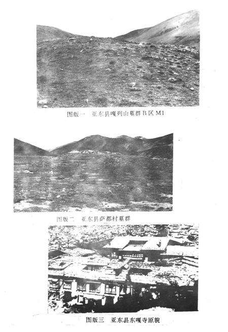《《亚东康马岗巴定结县文物志》》.pdf电子版_西藏自治区志预览图2