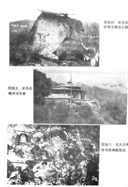 《《亚东康马岗巴定结县文物志》》.pdf电子版_西藏自治区志预览图3