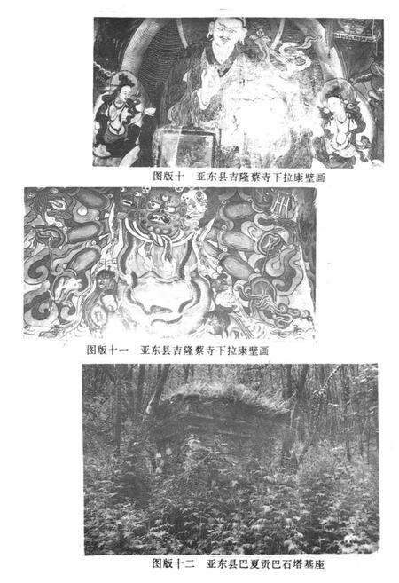 《《亚东康马岗巴定结县文物志》》.pdf电子版_西藏自治区志预览图5