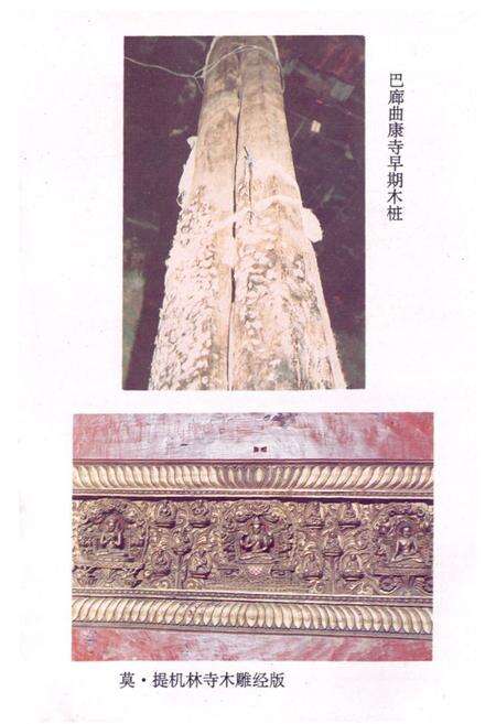 《《桑日县文物志》》.pdf电子版_西藏自治区志预览图4