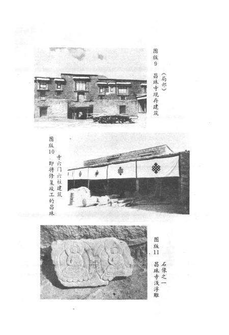 《《乃东县文物志》》.pdf电子版_西藏自治区志预览图5