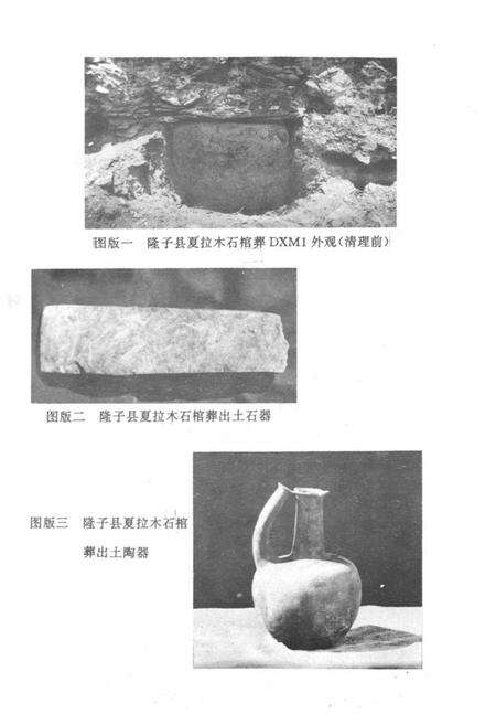 《《错那隆子加查曲松县文物志》》.pdf电子版_西藏自治区志预览图2