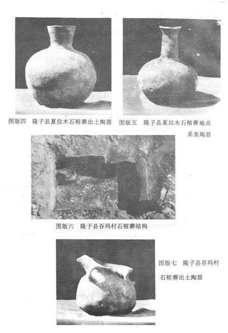 《《错那隆子加查曲松县文物志》》.pdf电子版_西藏自治区志预览图3