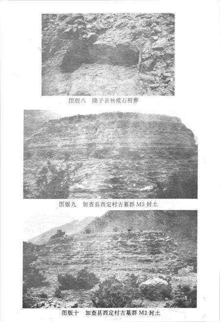 《《错那隆子加查曲松县文物志》》.pdf电子版_西藏自治区志预览图4