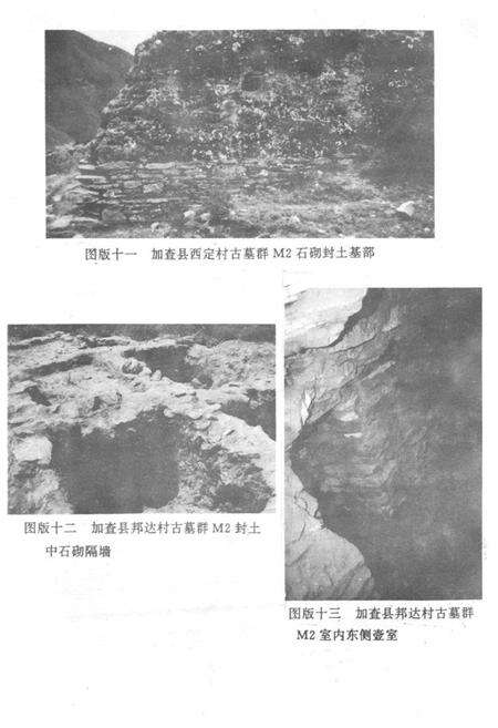 《《错那隆子加查曲松县文物志》》.pdf电子版_西藏自治区志预览图5