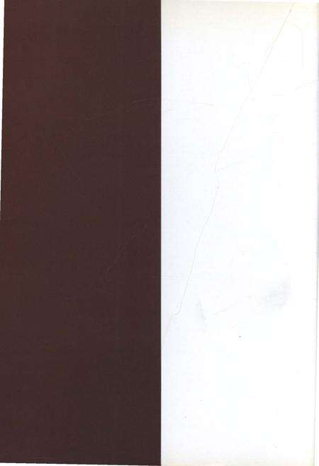 《藏族万年大事记》.pdf电子版_西藏自治区志预览图1