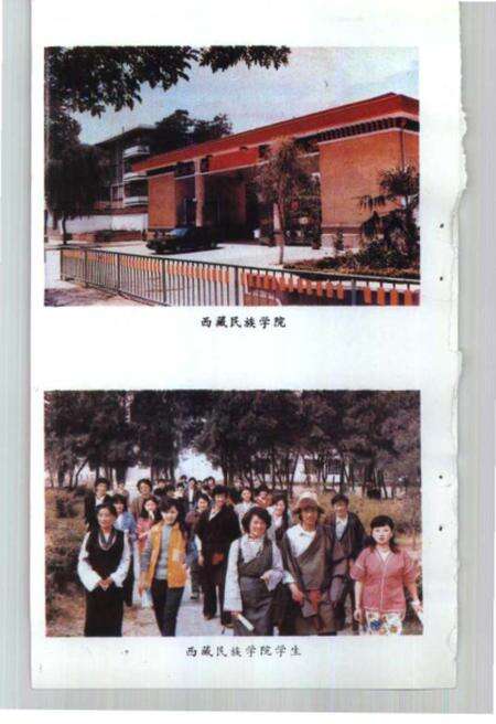 《西藏的教育》.pdf电子版_西藏自治区志预览图4