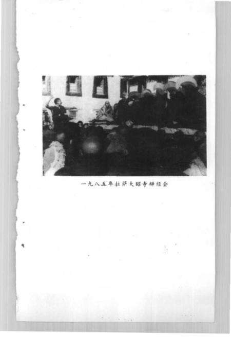 《西藏的教育》.pdf电子版_西藏自治区志预览图5