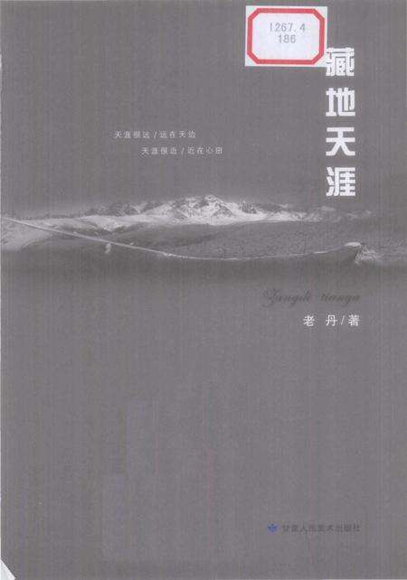 《藏地天涯》.pdf电子版_西藏自治区志预览图1