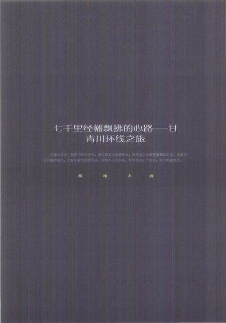 《藏地天涯》.pdf电子版_西藏自治区志预览图4