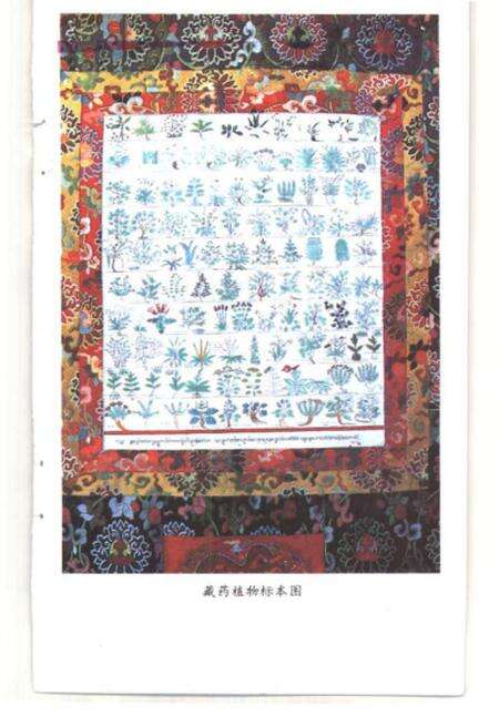 《中国的藏医》.pdf电子版_西藏自治区志预览图3