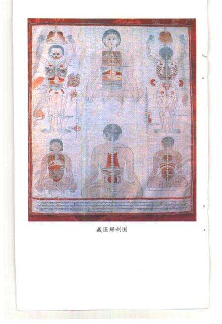 《中国的藏医》.pdf电子版_西藏自治区志预览图4