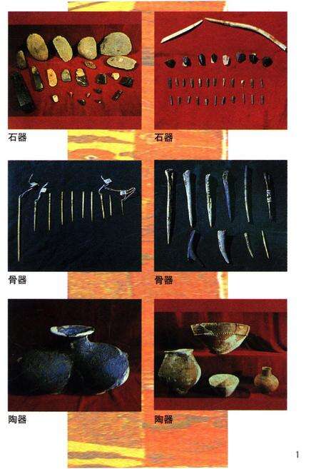 《西藏科学技术史》.pdf电子版_西藏自治区志预览图3