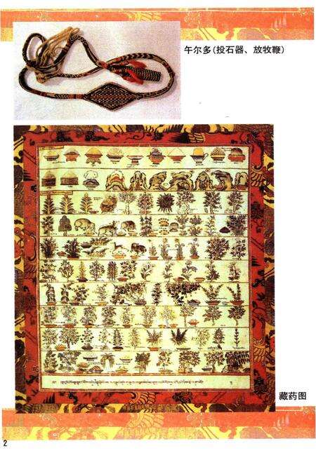 《西藏科学技术史》.pdf电子版_西藏自治区志预览图4