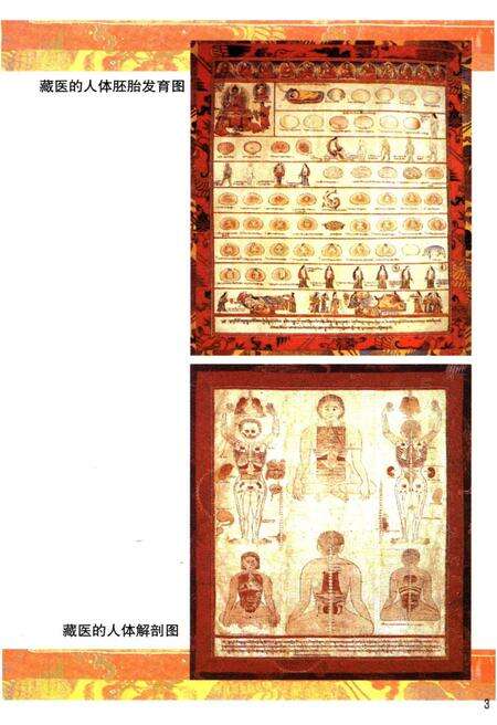 《西藏科学技术史》.pdf电子版_西藏自治区志预览图5